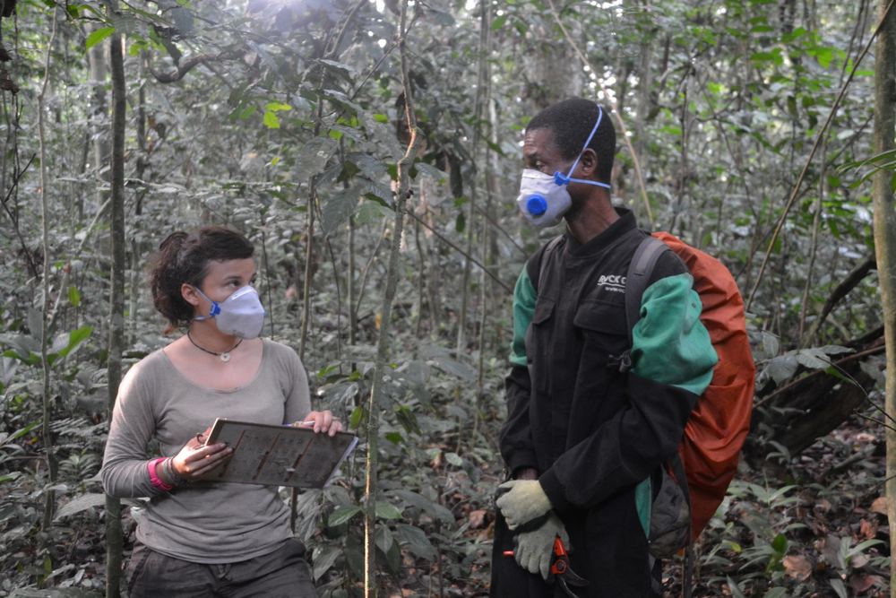 Two field researchers noting down forest survey data on a tablet