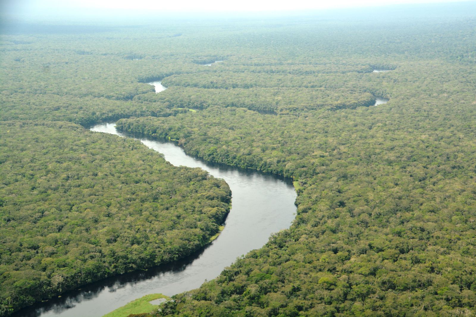 Aerial view of the Congo Basin rainforest and a river